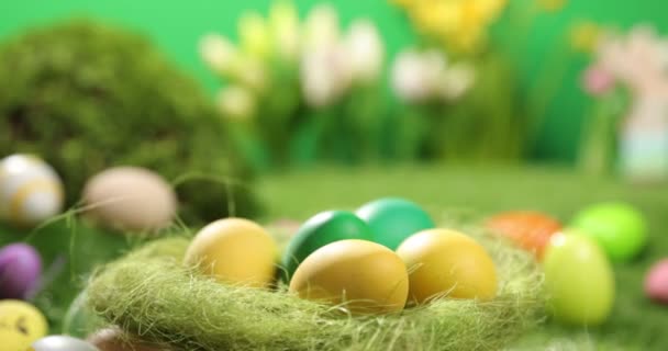 Œufs de Pâques colorés sur l'herbe. Vue de dessus rotation des œufs de Pâques colorés couchés sur fond de Pâques vert. - Séquence, vidéo