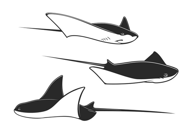 Manta ray, stingray and cramp fish underwater animals. Isolated ocean or sea vector fish, black and white rays with long stingers and tails, tropical marine water wildlife, zoo aquarium - Vector, Image