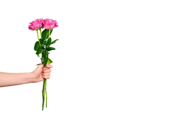 Tender pink roses bouquet in hand isolated on white background. Trendy banner for Valentines Day, International Womens Day or mothers day with copy space. - Photo, Image