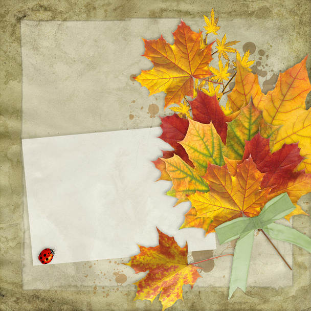 Fall leaves vintage background - Photo, image