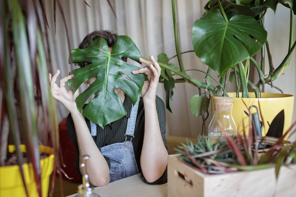Mladá dívka si zakrývá obličej zeleným listem pro zábavu a relaxaci, domácí rostliny na balkóně, gen Z - Fotografie, Obrázek