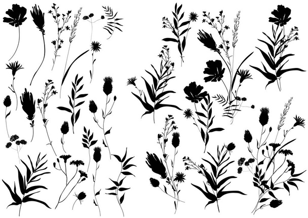 Gran conjunto de siluetas botánicas elementos florales. Ramas, hojas, hierbas, flores. Jardín, campo, prado plantas silvestres. - Vector, imagen
