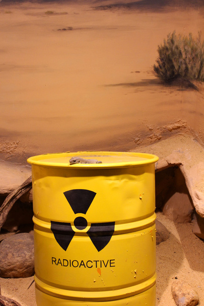 Lizard on a barrel of radioactive waste - Photo, Image