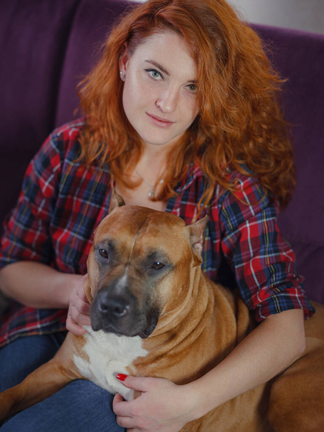 Happy woman petting her merican staffordshire terrier on couch at home in living room - Fotoğraf, Görsel