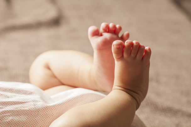Babies legs - Photo, Image