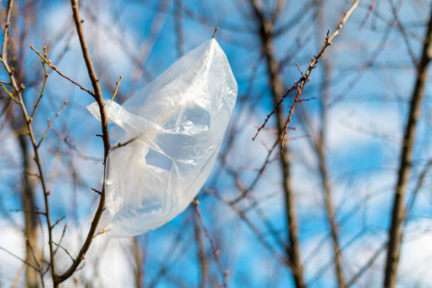 Plastic bag trapped in tree branches, environmental pollution and damage - Фото, зображення