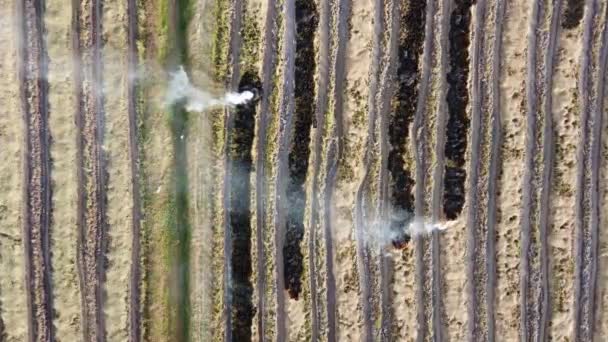 Vue aérienne du haut vers le bas combustion du riz paddy errant après récolte - Séquence, vidéo