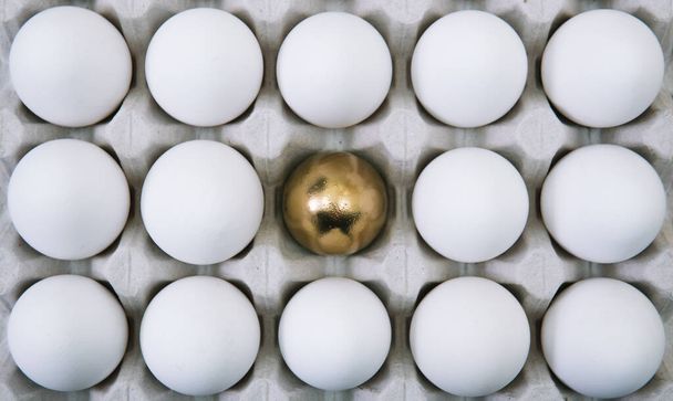 White raw chicken eggs and alone golden egg in a tray top view - Foto, imagen