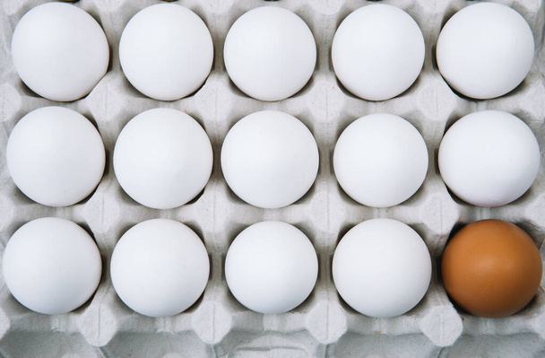 Φρέσκα άσπρα αυγά κοτόπουλου και μόνο καφέ αυγό. Επίπεδη ωοτοκία ωμών αυγών κοτόπουλου σε χάρτινο κουτί αυγών. Top view φυσικό βιολογικό αυγό. Υγιείς πραγματικές τροφές - Φωτογραφία, εικόνα