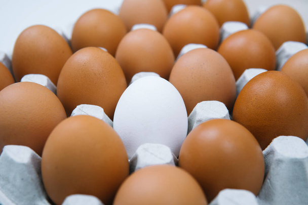 Huevos de pollo recién hechos y huevo blanco solo. Huevo orgánico natural con vista lateral. Comida sana y real - Foto, Imagen