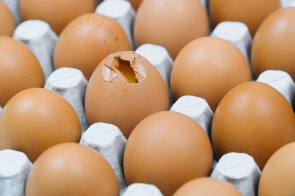 Brown raw chicken eggs and alone broken egg in a tray top view - Φωτογραφία, εικόνα