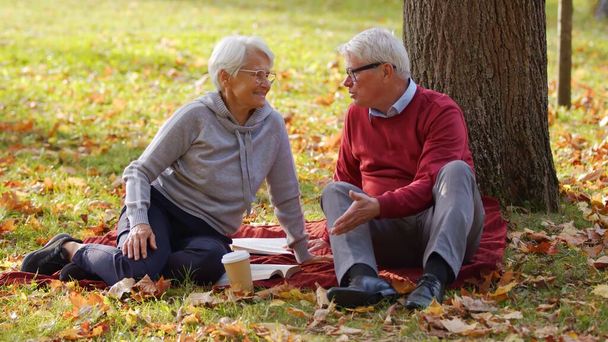 Senior Caucasian married couple enjoy their retirement concept picnic in the park full shot selective focus  - Photo, Image