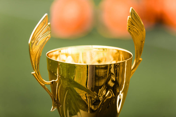 Closeup image of the golden cup. Golden sports trophy; sports grass pitch in the background. Shiny metal trophy as an award for winning the team - Photo, Image