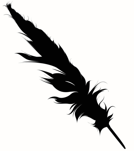 feather silhouette on white background - Vector, Image