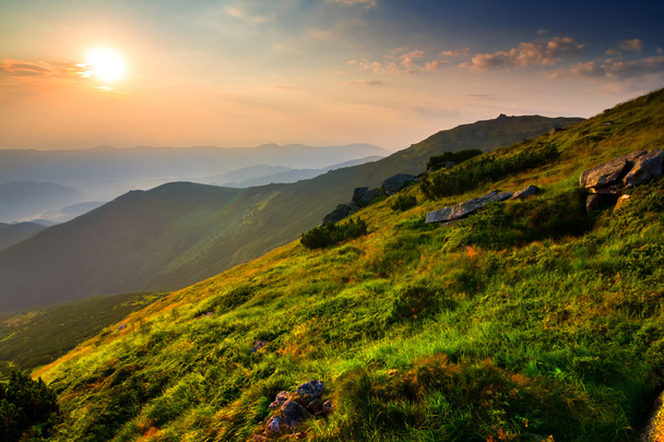 夕日の緑の山の谷 - 写真・画像