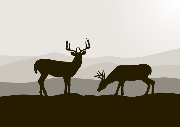 美しい自然の中の鹿 - ベクター画像