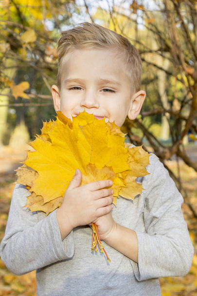 boy playing with autumn leaves - Фото, зображення