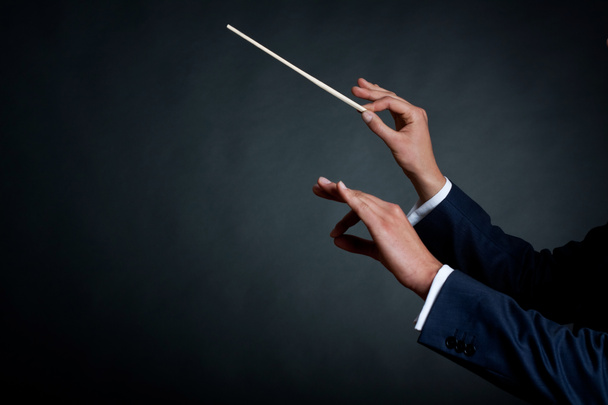 Male orchestra conductor - Photo, Image