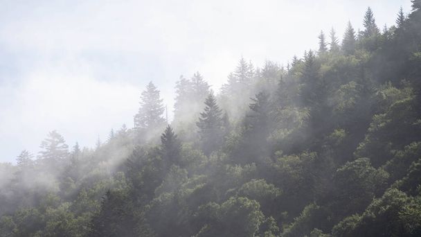 Matin brumeux dans les vallées des Appalaches Vue de la promenade Blue Ridge - Photo, image