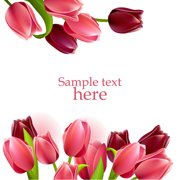 Floral frame with tulips - Vecteur, image
