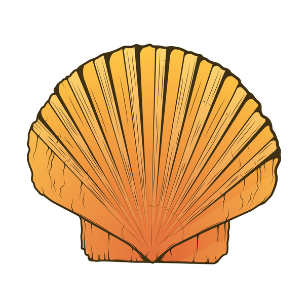 Sea Shell isolated on a white background. Color line art. Retro design. Vector illustration. - Vector, Image
