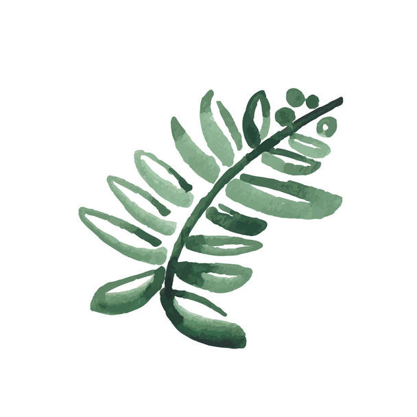 Icon vector leaf. Eco nature healthy concept. Green natural plant symbol. Logo sign design. Modern brush ink illustration isolated on white background - Вектор, зображення