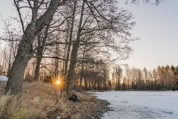 Amanecer temprano en invierno, sol entre los árboles - Foto, Imagen