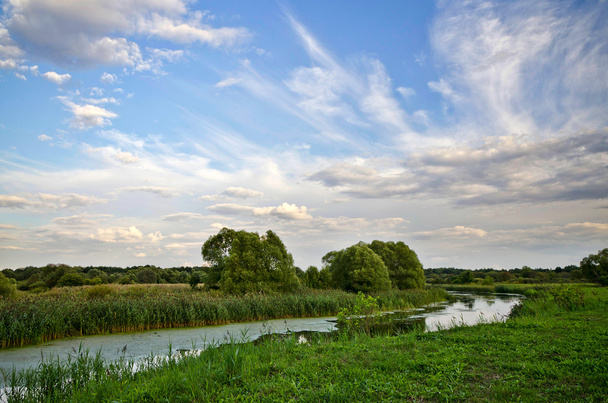 Summer landscape with a river - Foto, Bild