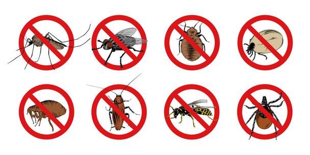 Illustrazioni vettoriali in stile inciso per manifesti, logo, emblema e distintivo. Set di schizzi disegnati a mano di insetti, mosca, ventosa, zanzara, insetto, vespa, acaro, scarafaggio. Segnali proibiti, stop, avvertimento, proibito - Vettoriali, immagini