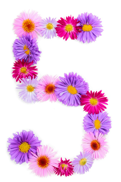 Flower alphabet - Фото, изображение