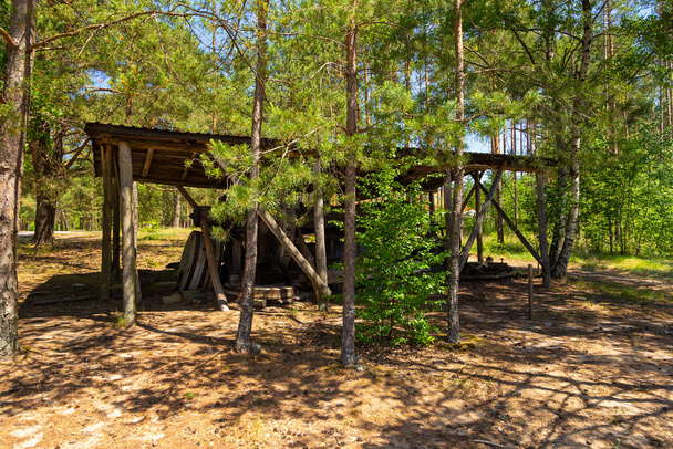 Oude houten molen in het openluchtmuseum, Kashubian Ethnographic Park. Wdzydze Kiszewskie, Polen. - Foto, afbeelding
