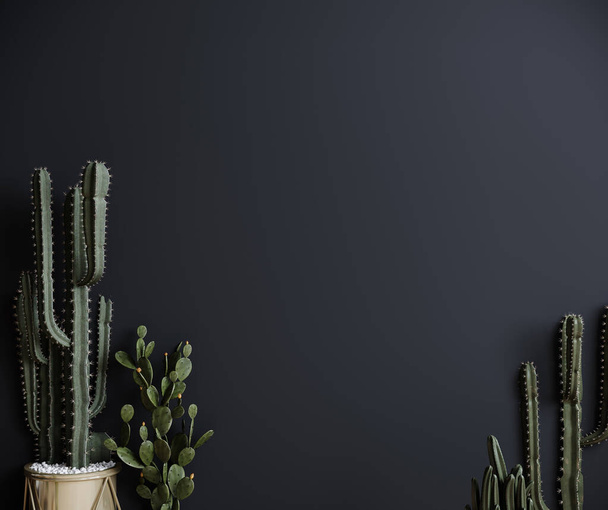 Cactus planta fondo oscuro, gris de moda fondo mínimo con planta de cactus. renderizado 3d - Foto, imagen