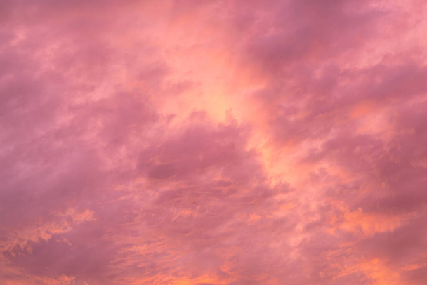 Nuages de couleurs rose et corail. Un fond inspirant. Coucher de soleil coloré. - Photo, image