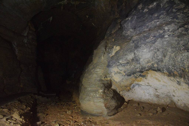 石筍の形成は、インドのバスター国立公園のコタンサー洞窟内の象の頭に似ています - 写真・画像