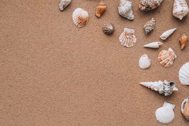 Composition frame for copy space, seashells, pebbles, mockup on sand background. Blank, top view, still life, flat lay. Sea vacation travel concept tourism and resorts. Summer holidays - Foto, Imagem