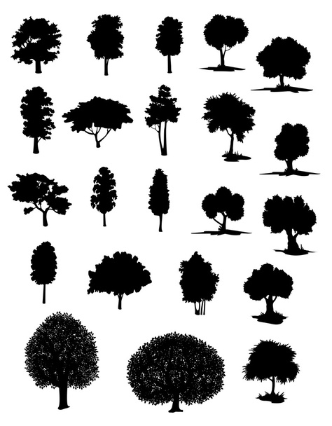 Silhouette vettoriali di alberi assortiti
 - Vettoriali, immagini