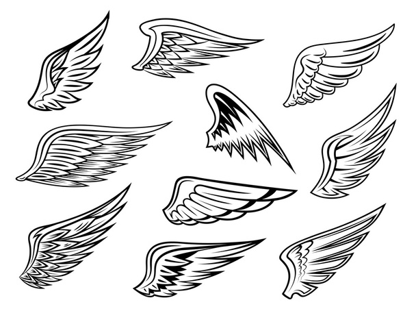 Heraldic wings set - Vector, Image