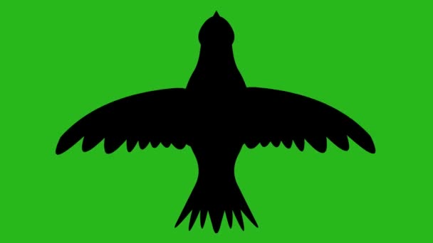 Lusanimatie van het zwarte silhouet van een vogel die met zijn vleugels wappert, op een groene chroma sleutelachtergrond - Video