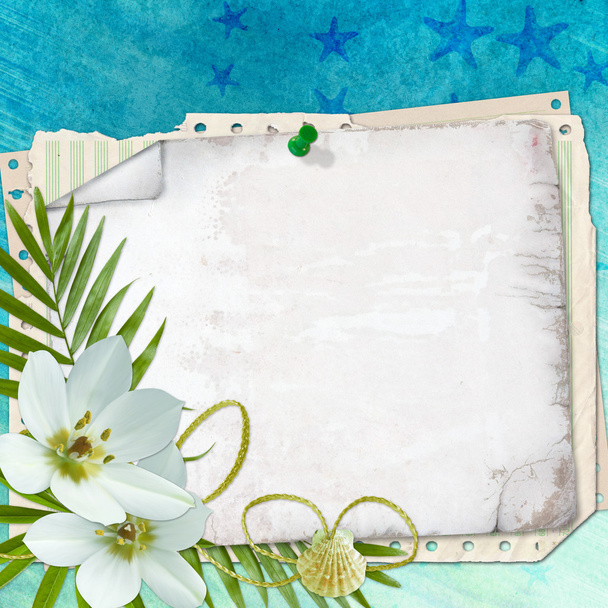 Beach postcard with sea shell and star fish - Foto, imagen