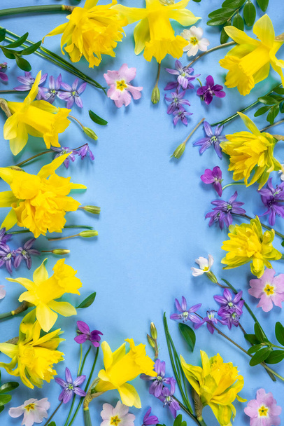 Cadre de printemps et arrangement de fleurs. Composition de jonquilles, violettes, buttercups, bleuets et feuilles de buis sur fond bleu. Vue du dessus, espace de copie.  - Photo, image