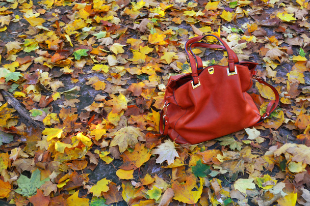 Червона шкіряна сумка з полем осіннього листя
 - Фото, зображення