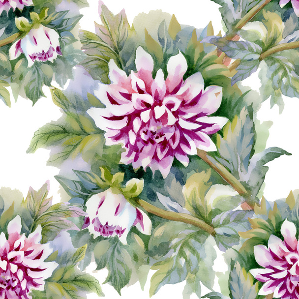 Chrysanthemums pattern - Photo, Image