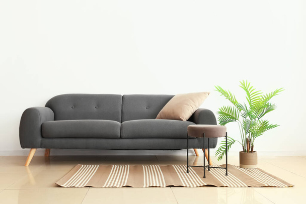 Tyylikäs sohva, pussi ja huonekasvi lähellä valkoista seinää - Valokuva, kuva