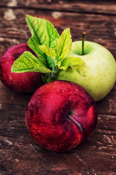 čerstvě sklizené úrody rustikální jablka - Fotografie, Obrázek