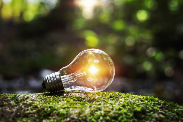 energy power lightbulb in nature - Foto, Imagen