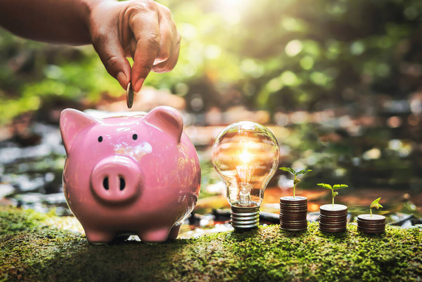 hand putting of coins into piggy bank with lightbulb and money in nature - 写真・画像