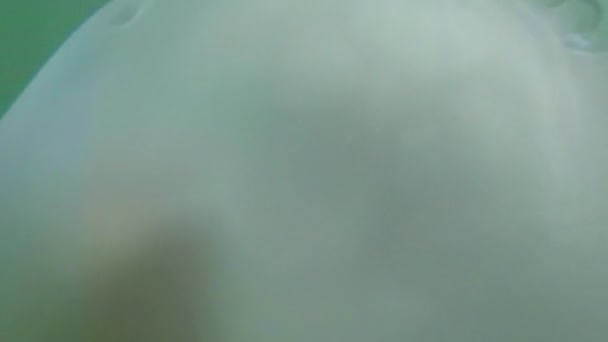 Meduza Meduza zbliżenie powoli unosi się w wodzie morskiej, smażyć ukrywa się pod trujące jellyfish pływające w wodzie promienie słońca przez meduzy - Materiał filmowy, wideo
