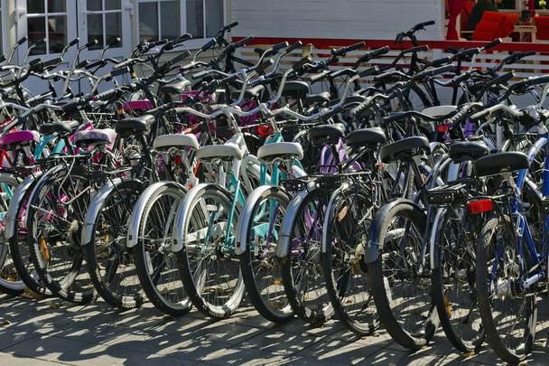 Huur van fietsen in stadspark - Foto, afbeelding