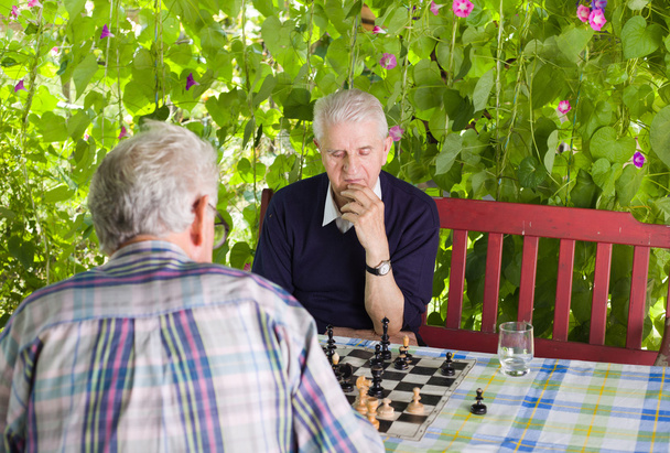 Playing chess - Фото, изображение