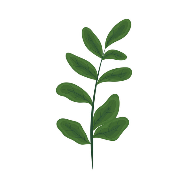icono de planta de naturaleza - Vector, Imagen